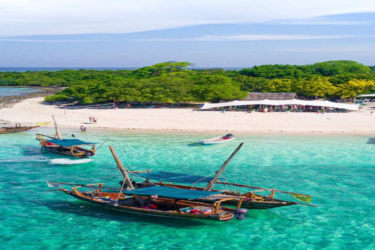 Zanzibar - Image 2